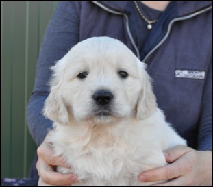 Pale female 5 weeks