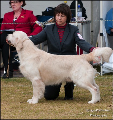 Rueben 2nd Intermediate dog 2_edited-1